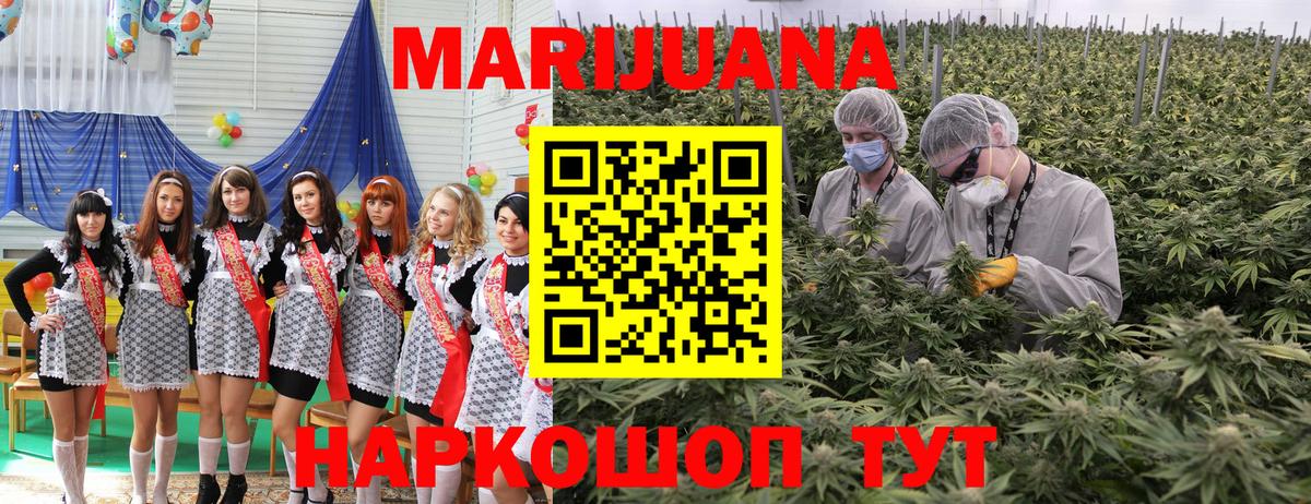 Бошки марихуана марихуана  Шишки марихуана ГИДРОПОН  Вход с VPN  Бошки марихуана марихуана  Тамбов  Каннабис план 